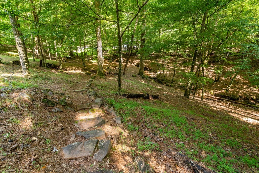 611 Monocle Drive, Ellijay GA 30540 - Photo