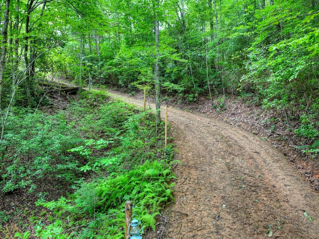 0 Blalock Road, Turtletown TN 37391 - Photo