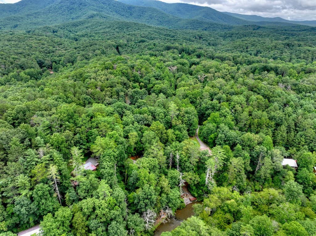 279 S Riverview, Ellijay GA 30536 - Photo