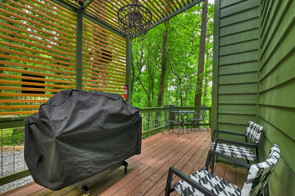 279 S Riverview, Ellijay GA 30536 - Photo