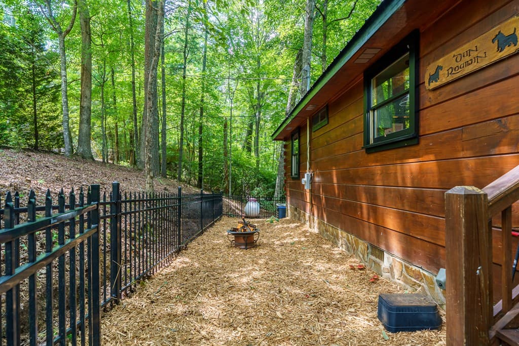 252 Granny Branch Drive, Blue Ridge GA 30513 - Photo