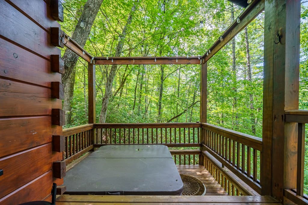 252 Granny Branch Drive, Blue Ridge GA 30513 - Photo