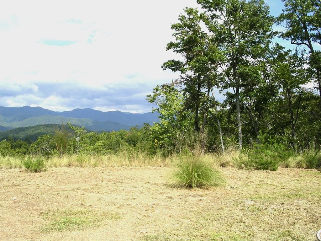 247 Rice Lane, Marble NC 28905 - Photo