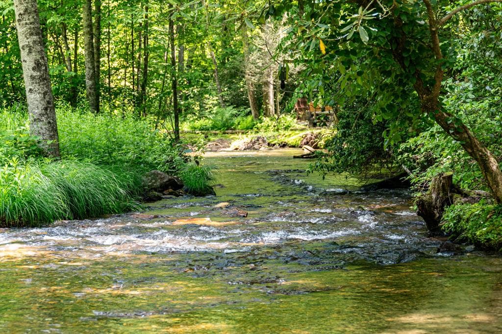 77 Old Covered Bridge Road, Cherry Log GA 30522 - Photo