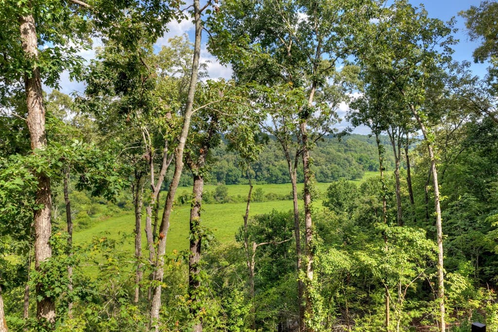 1729 Barnes Chapel Road, Blue Ridge GA 30513 - Photo
