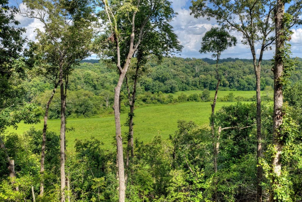 1729 Barnes Chapel Road, Blue Ridge GA 30513 - Photo