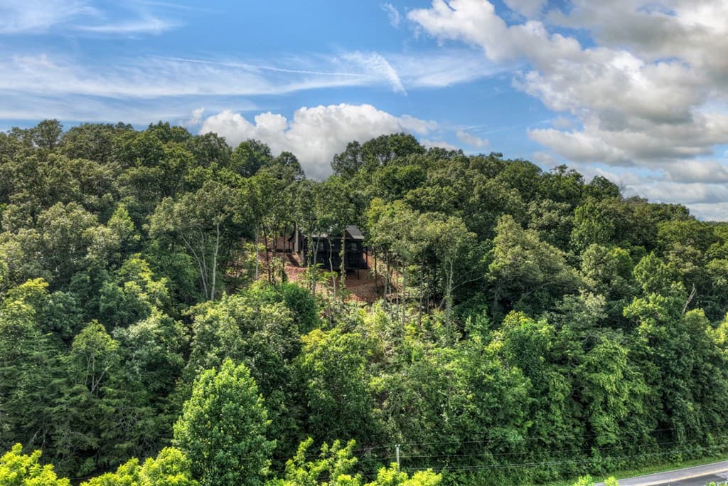 1729 Barnes Chapel Road, Blue Ridge GA 30513 - Photo