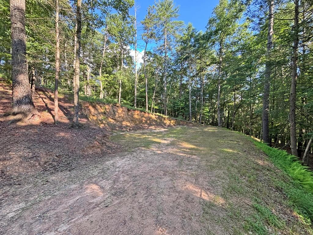 Lot 2329 S Whitepath Circle, Ellijay GA 30540 - Photo