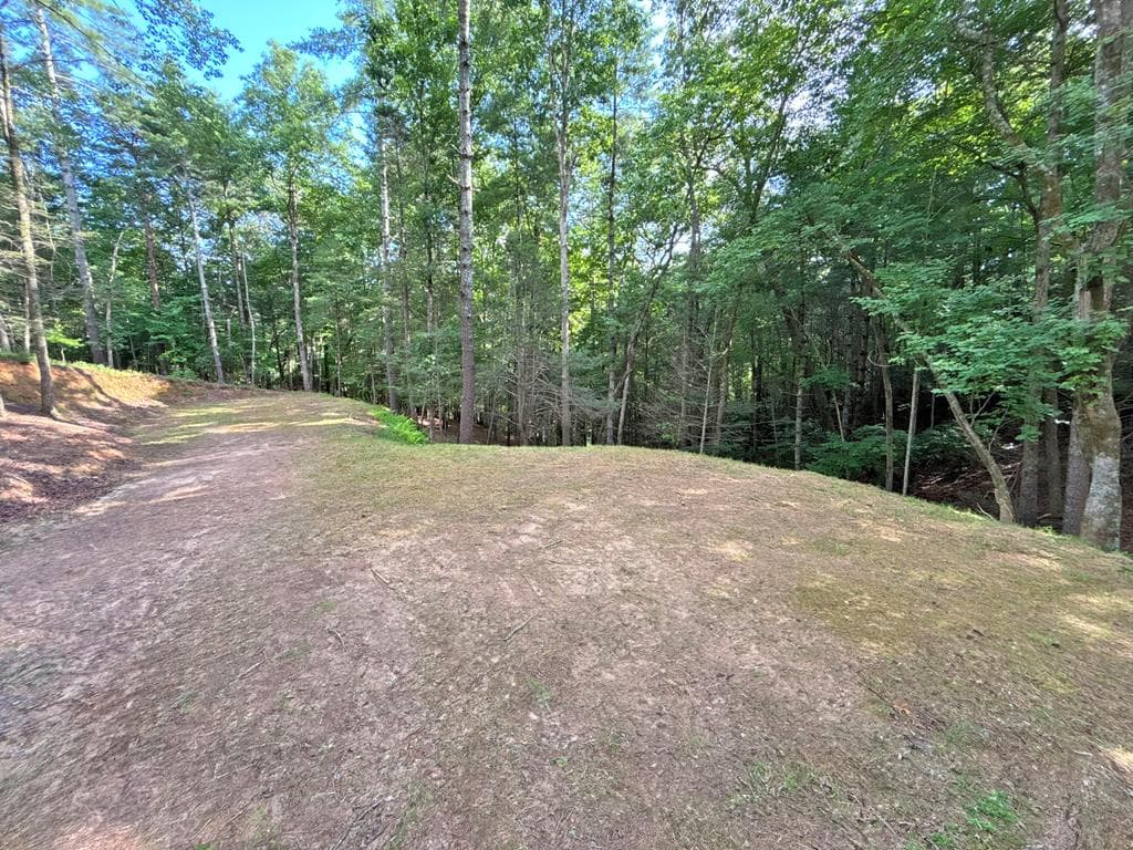 Lot 2329 S Whitepath Circle, Ellijay GA 30540 - Photo