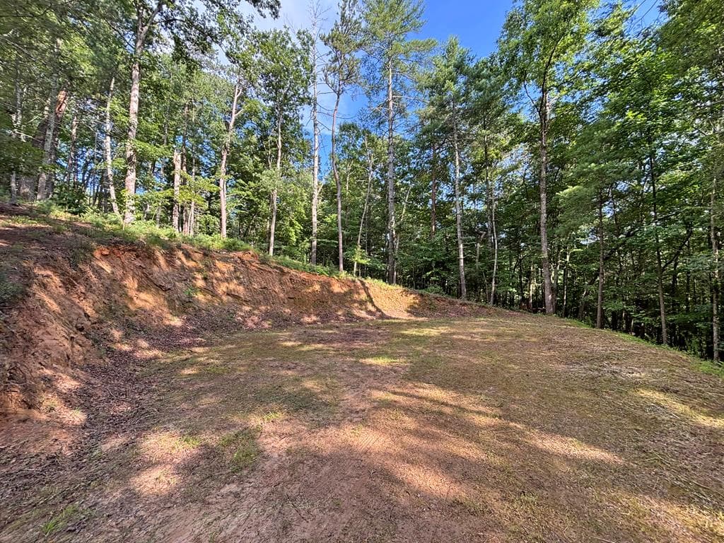 Lot 2329 S Whitepath Circle, Ellijay GA 30540 - Photo
