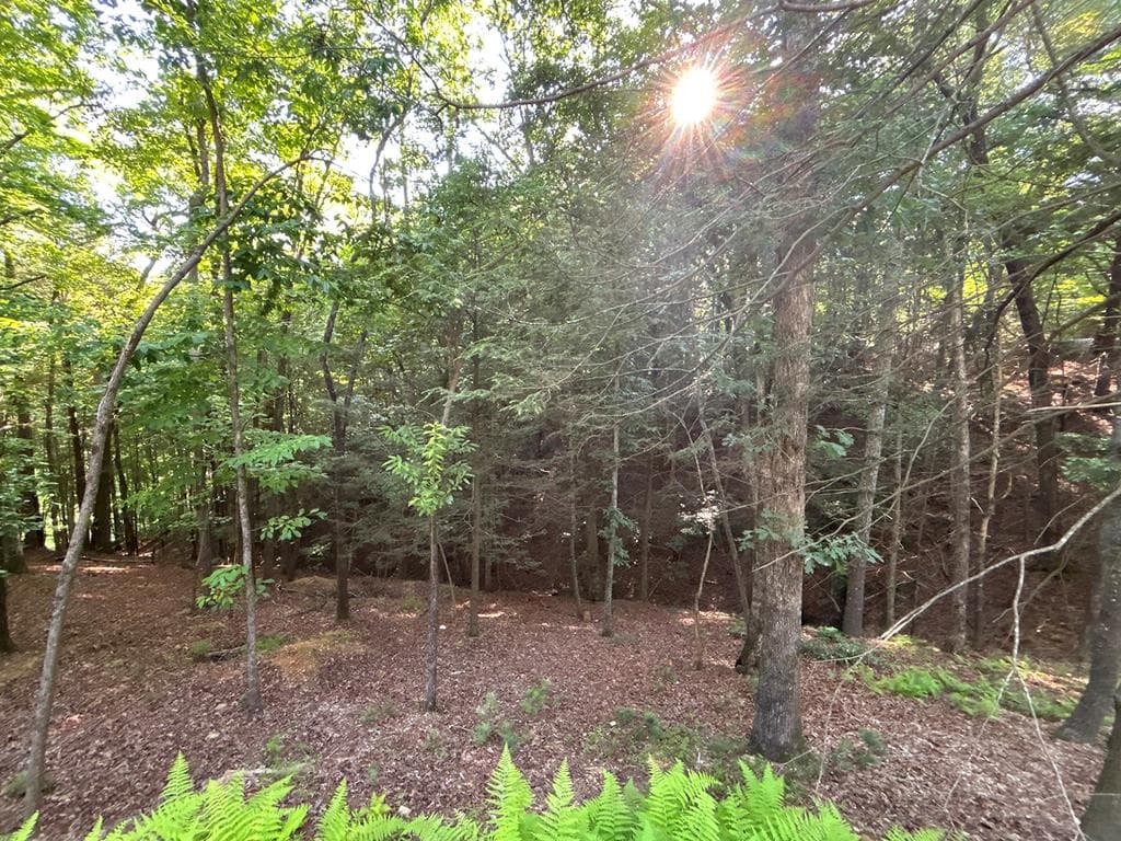 Lot 2329 S Whitepath Circle, Ellijay GA 30540 - Photo