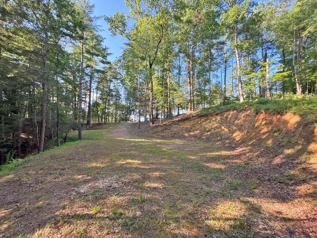 Lot 2329 S Whitepath Circle, Ellijay GA 30540 - Photo