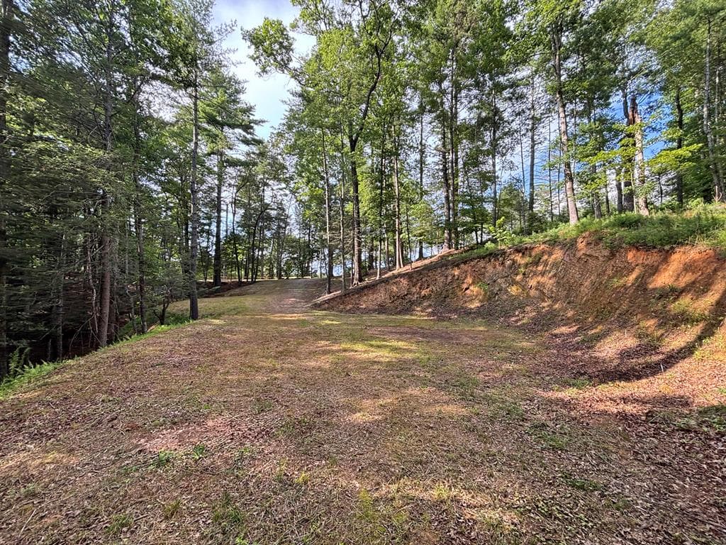 Lot 2329 S Whitepath Circle, Ellijay GA 30540 - Photo