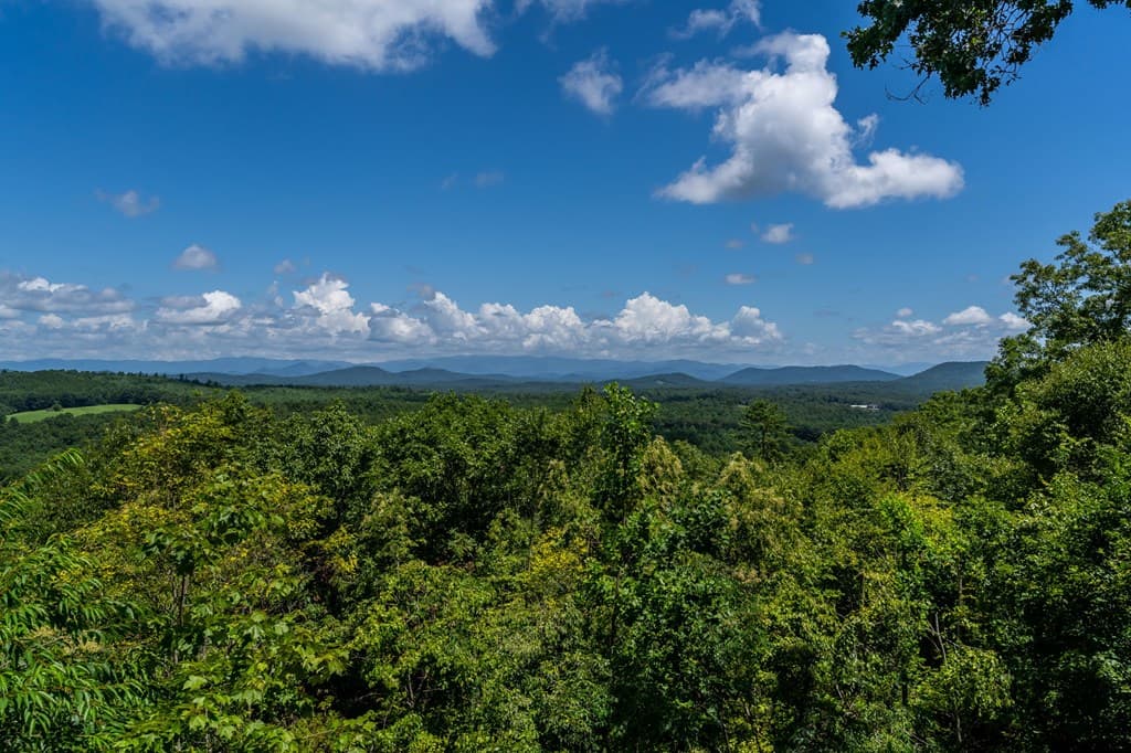 334 Hawks Claw Trail, Morganton GA 30560 - Photo