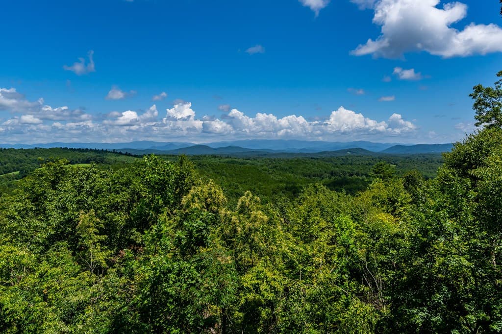 334 Hawks Claw Trail, Morganton GA 30560 - Photo
