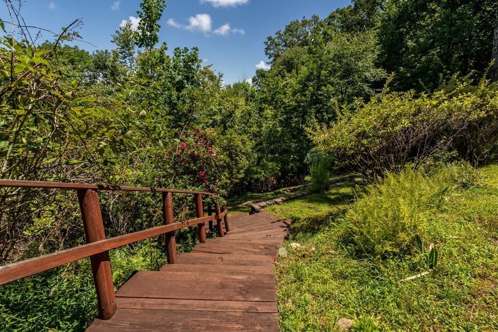 334 Hawks Claw Trail, Morganton GA 30560 - Photo