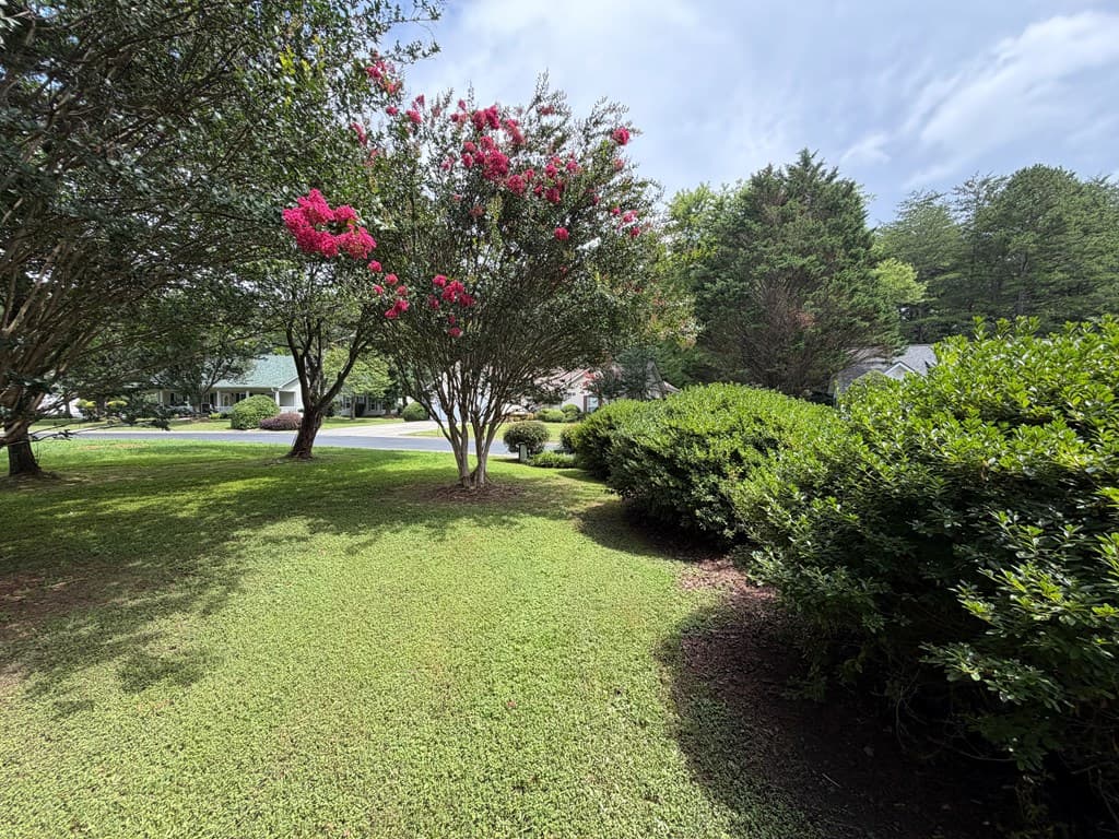 4 Lance Lane, Blue Ridge GA 30513 - Photo
