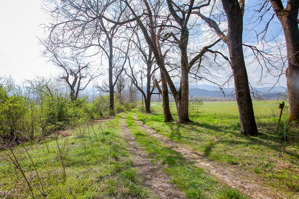 6387 Airport Road, Andrews NC 28901 - Photo