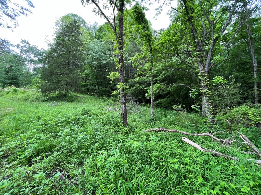 6387 Airport Road, Andrews NC 28901 - Photo