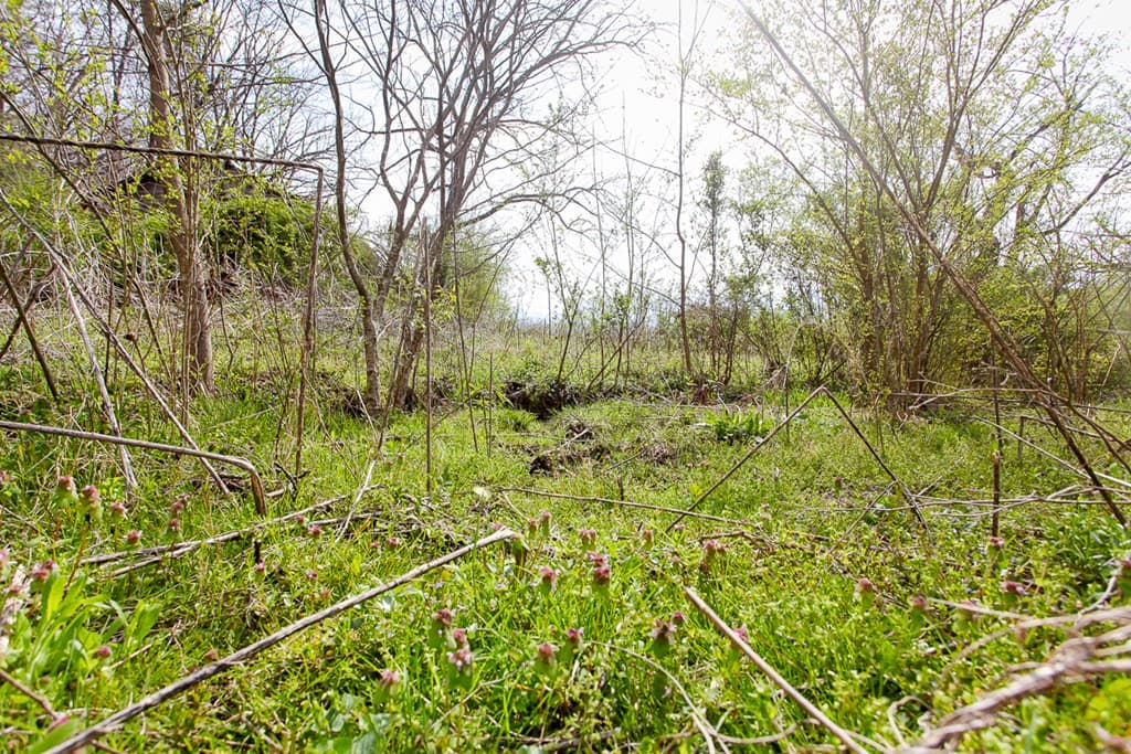 6387 Airport Road, Andrews NC 28901 - Photo