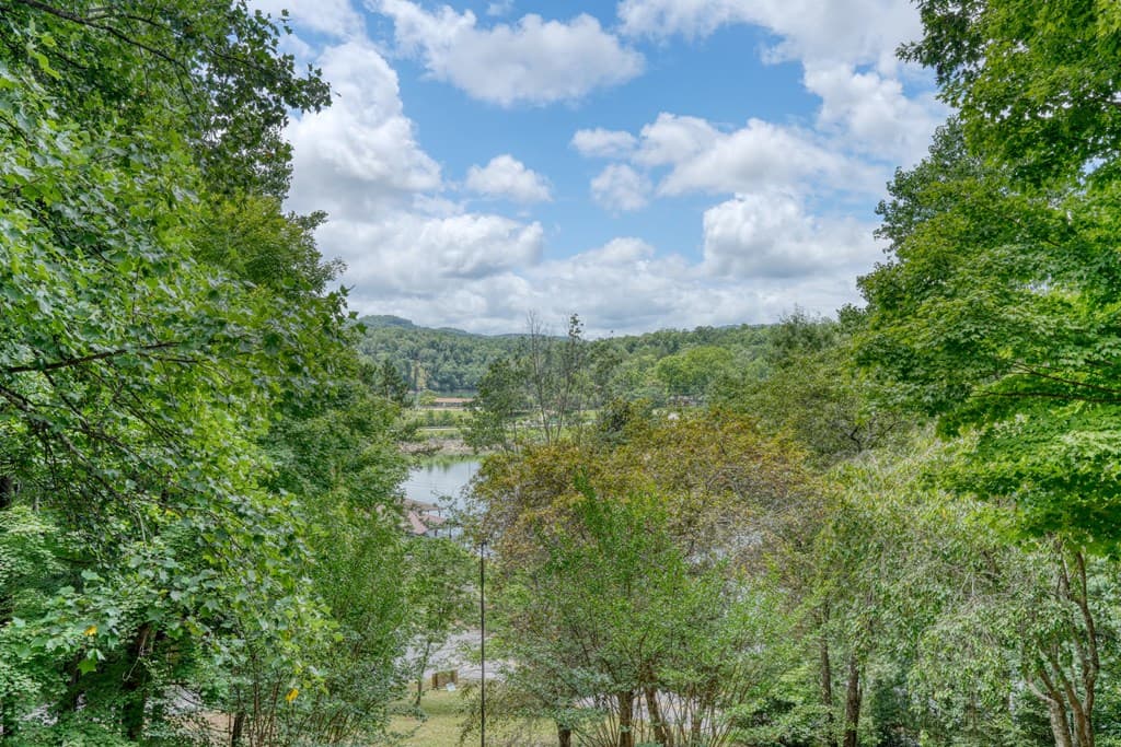61 Deerwood Trail, Blairsville GA 30512 - Photo