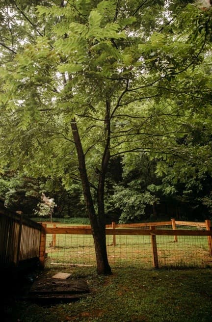 200 Old Woodring Road, Ellijay GA 30540 - Photo