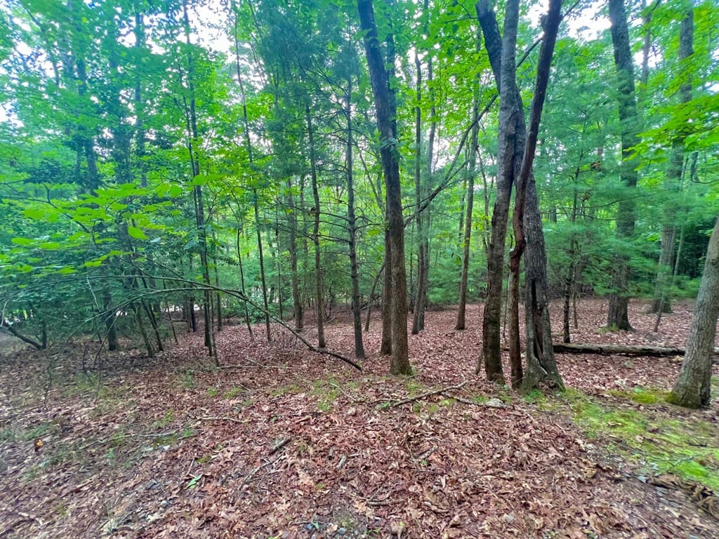 193 Opossum Road, Blairsville GA 30512 - Photo