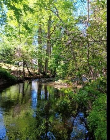 193 Opossum Road, Blairsville GA 30512 - Photo