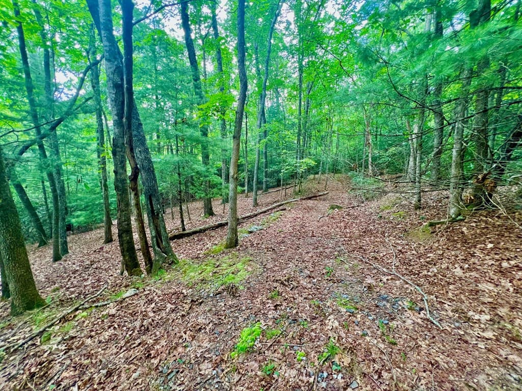 193 Opossum Road, Blairsville GA 30512 - Photo
