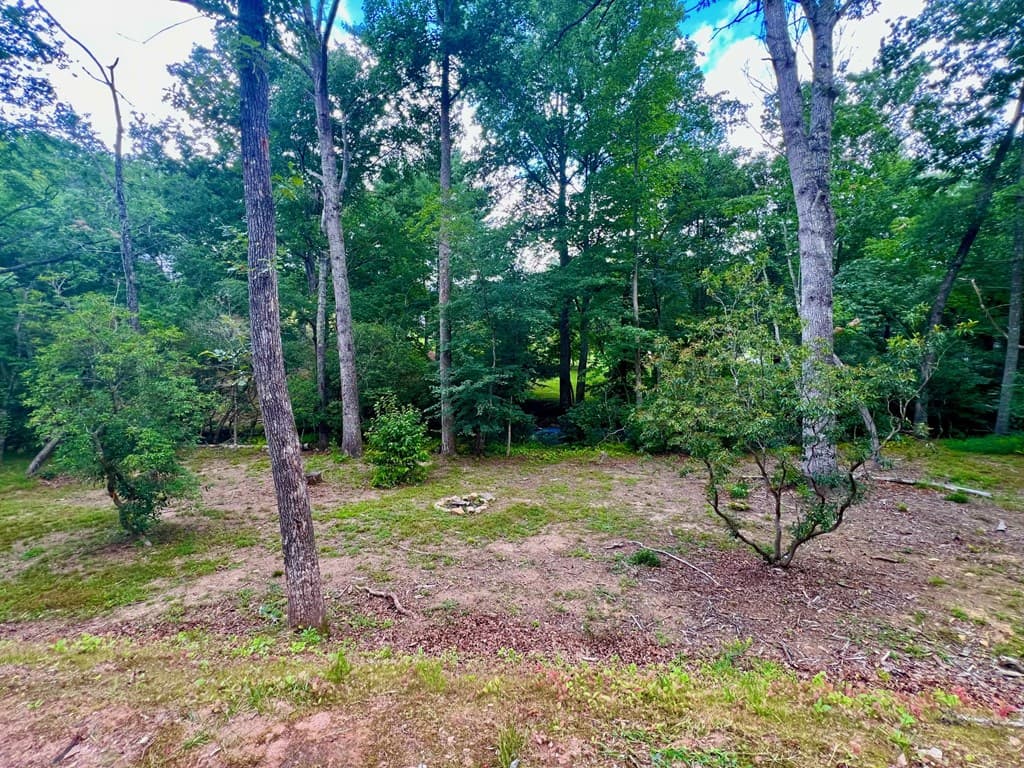 193 Opossum Road, Blairsville GA 30512 - Photo