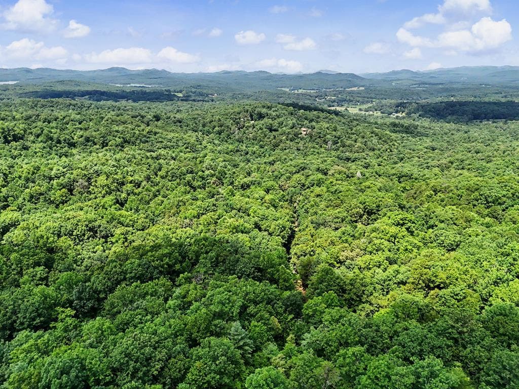 Tract 3 Wilmar Circle, Blairsville GA 30512 - Photo