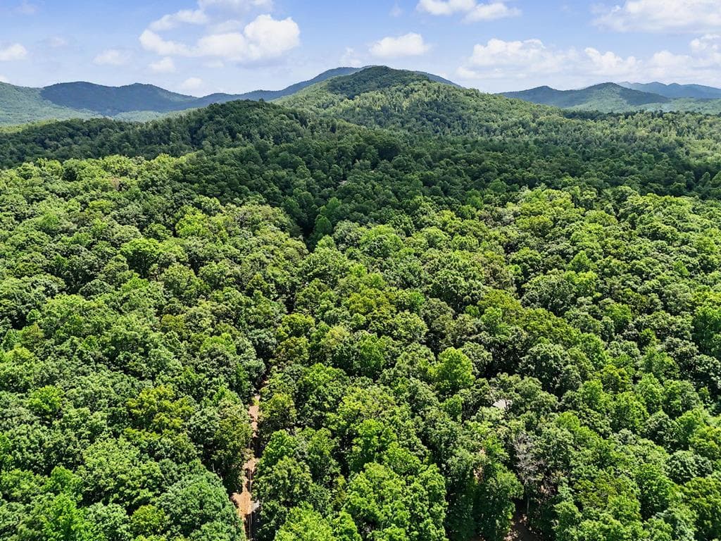 Tract 3 Wilmar Circle, Blairsville GA 30512 - Photo