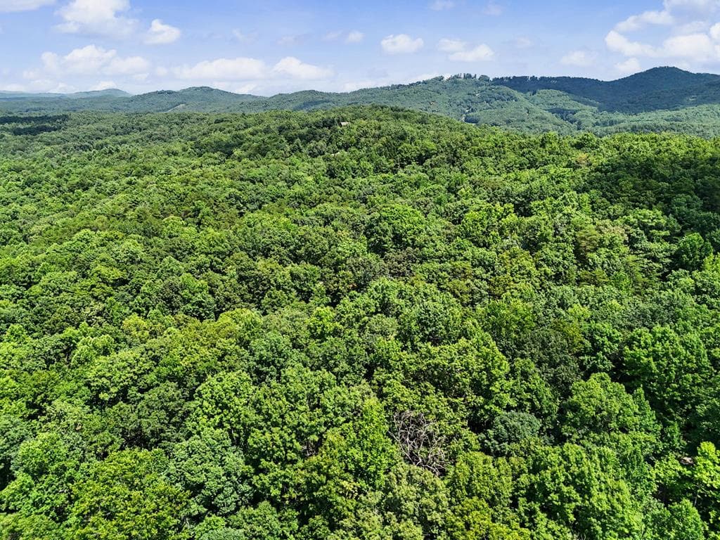 Tract 3 Wilmar Circle, Blairsville GA 30512 - Photo