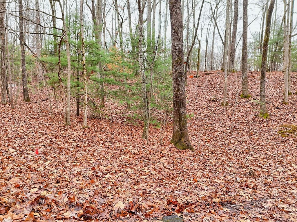 Tract 3 Wilmar Circle, Blairsville GA 30512 - Photo