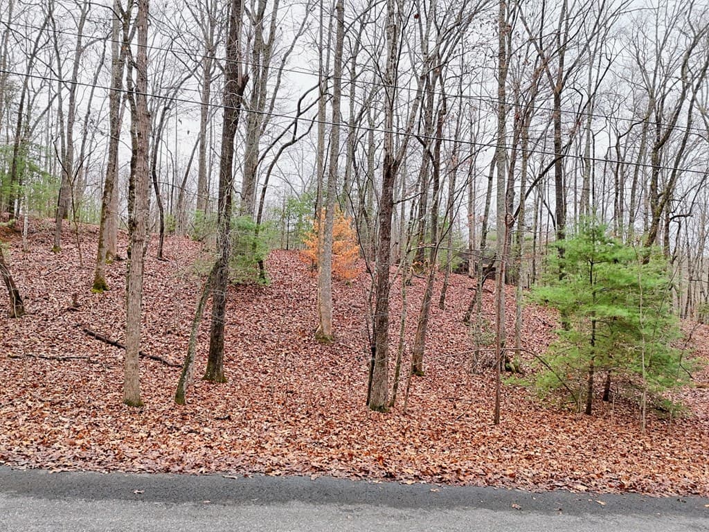 Tract 3 Wilmar Circle, Blairsville GA 30512 - Photo