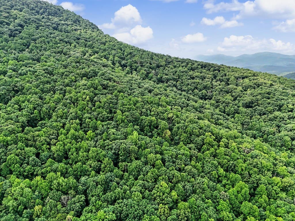 1583 Spring Cove Road, Blairsville GA 30512 - Photo