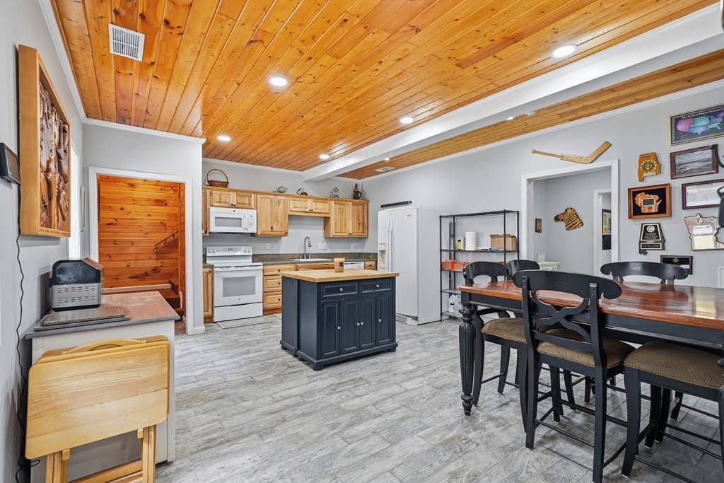 387 Leonard Evans Road, Ellijay GA 30540 - Photo