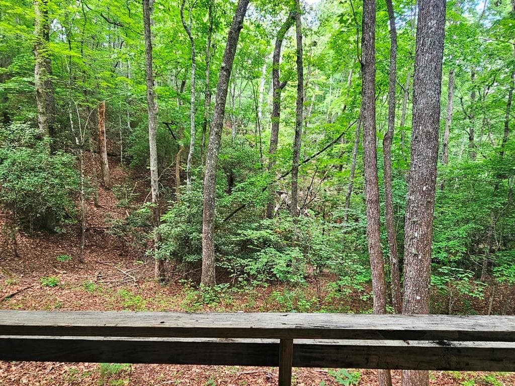 252 Barefoot Lane, Murphy NC 28906 - Photo
