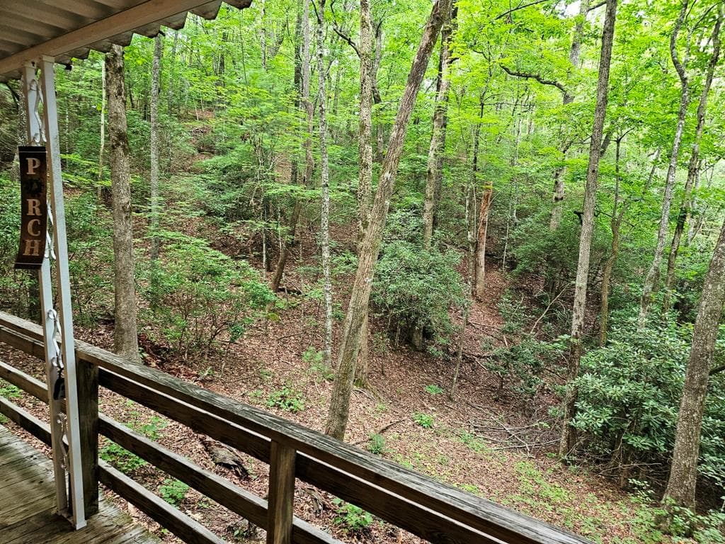 252 Barefoot Lane, Murphy NC 28906 - Photo