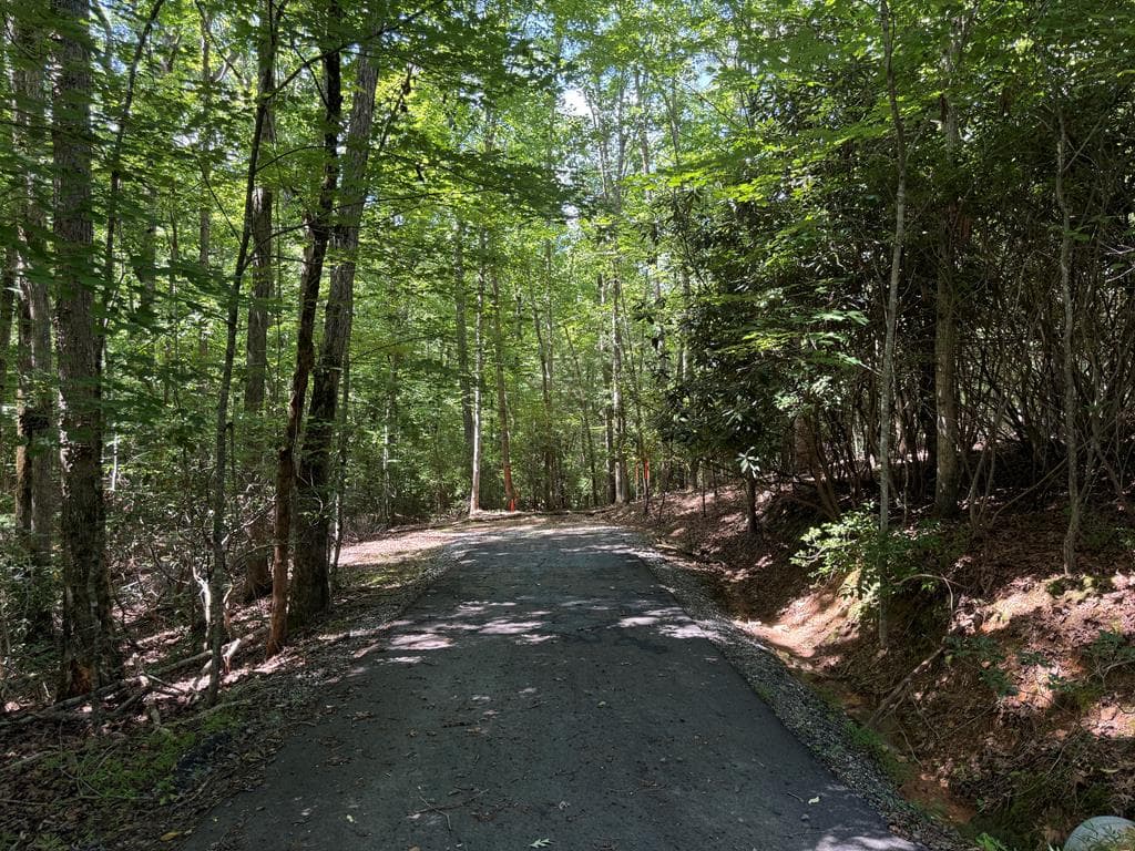 0 Panico Trail, Murphy NC 28906 - Primary photo