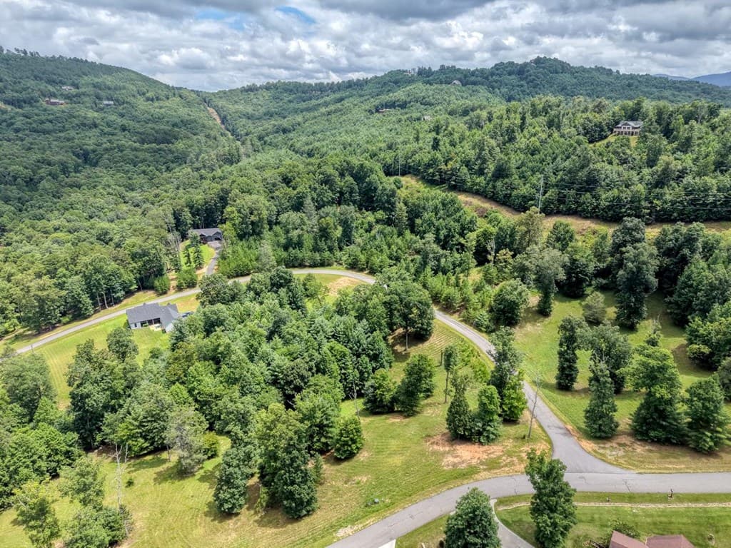 Lot 118 Riverside Lk Nottely, Blairsville GA 30512 - Photo