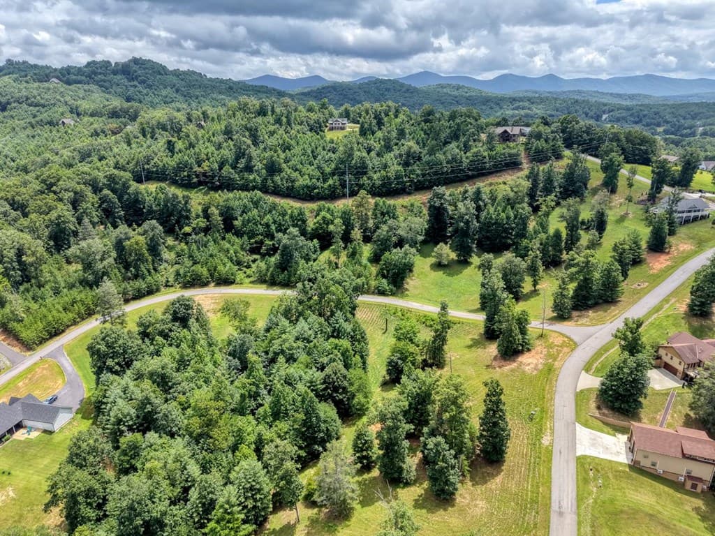 Lot 118 Riverside Lk Nottely, Blairsville GA 30512 - Photo