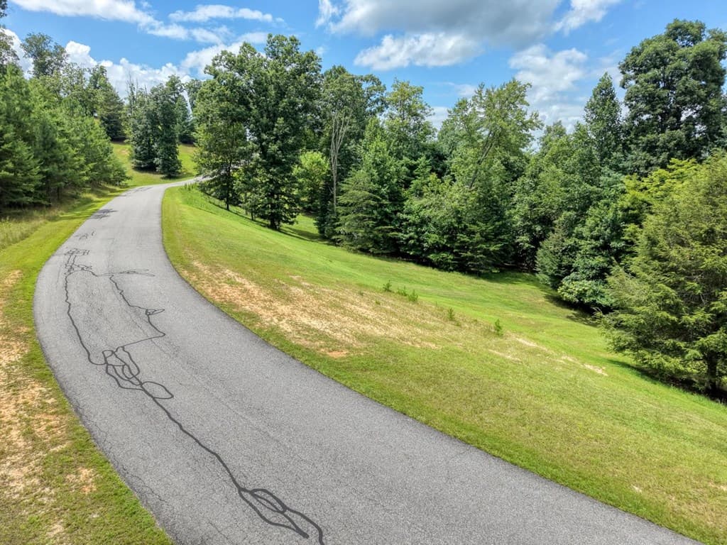 Lot 118 Riverside Lk Nottely, Blairsville GA 30512 - Photo