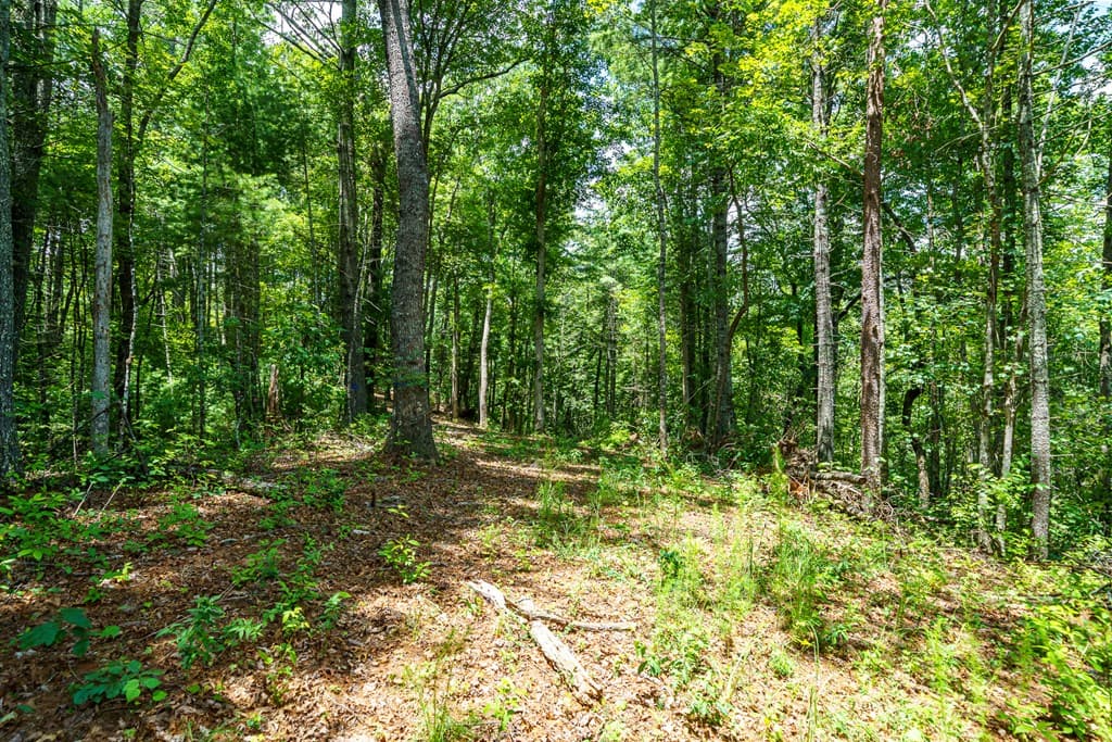 000 Higdon Creek Road, Blue Ridge GA 30513 - Photo