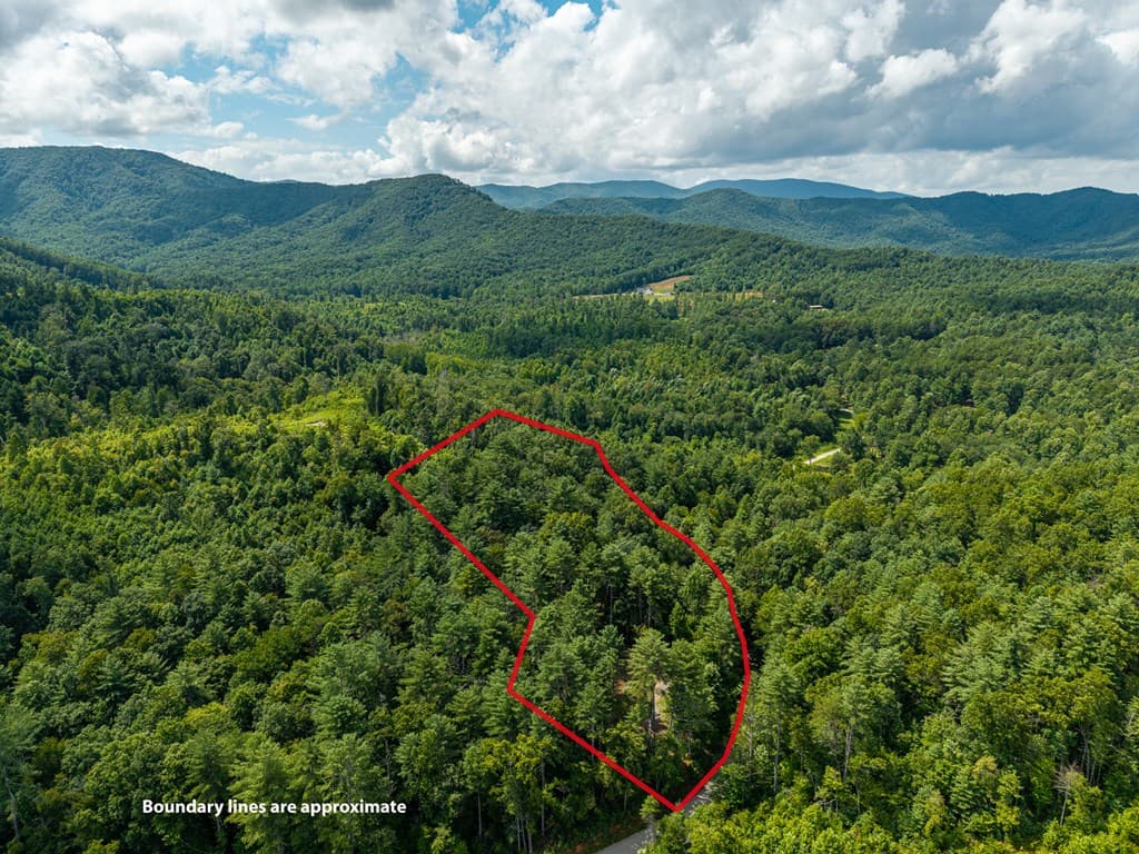 000 Higdon Creek Road, Blue Ridge GA 30513 - Photo