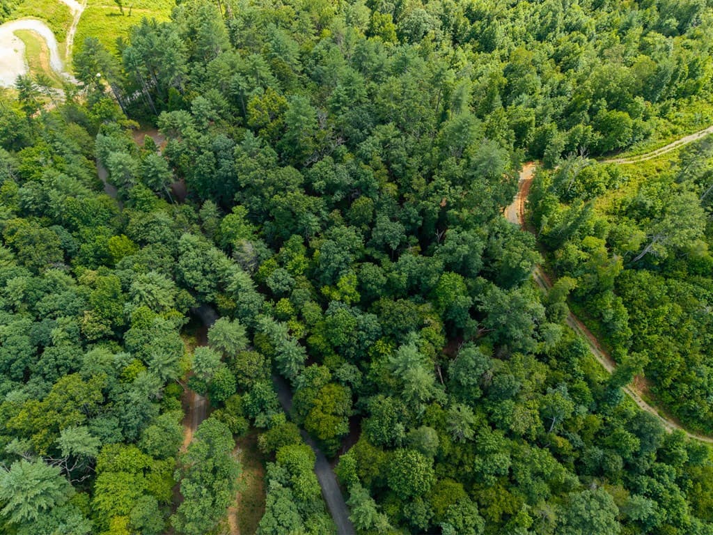 000 Higdon Creek Road, Blue Ridge GA 30513 - Photo
