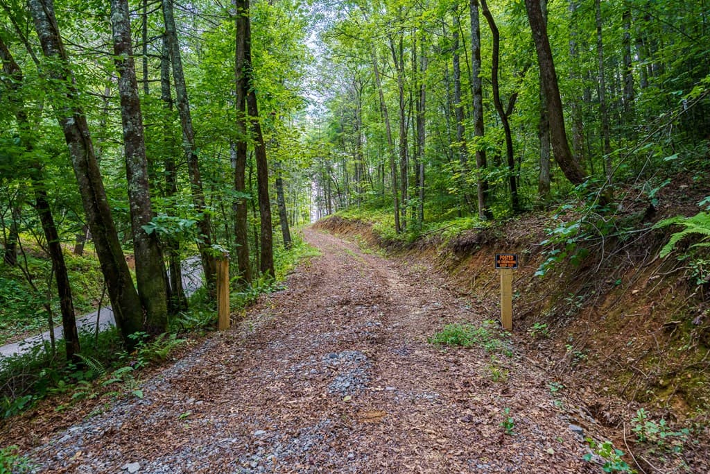 000 Higdon Creek Road, Blue Ridge GA 30513 - Photo