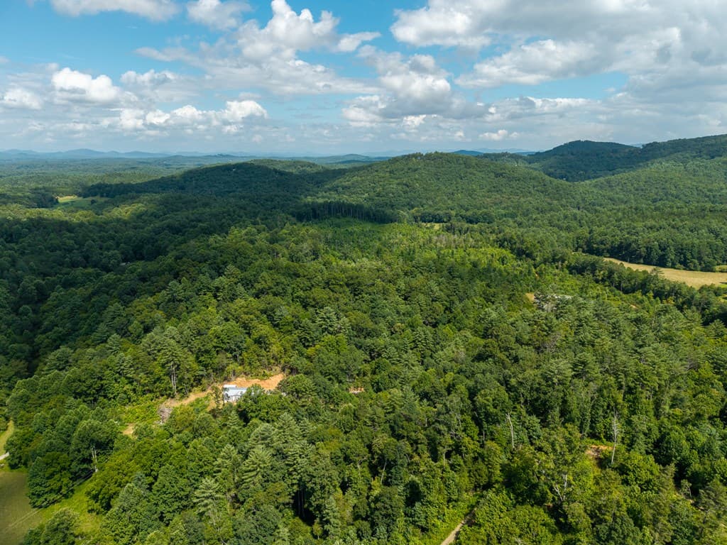 000 Higdon Creek Road, Blue Ridge GA 30513 - Photo