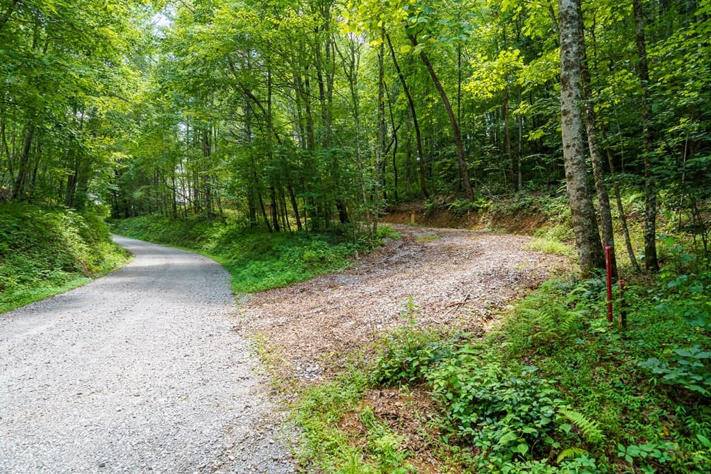 000 Higdon Creek Road, Blue Ridge GA 30513 - Photo