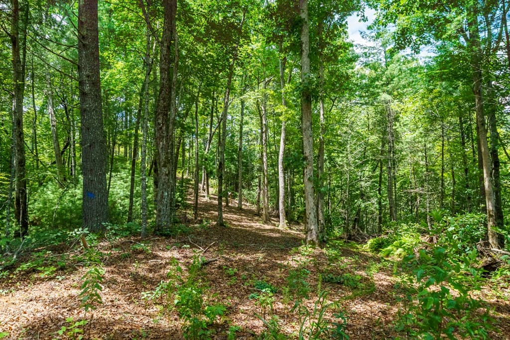 000 Higdon Creek Road, Blue Ridge GA 30513 - Photo